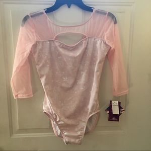 Adult Dance/Ballet leotard Mesh Long Sleeve Pink